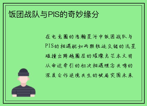 饭团战队与PIS的奇妙缘分